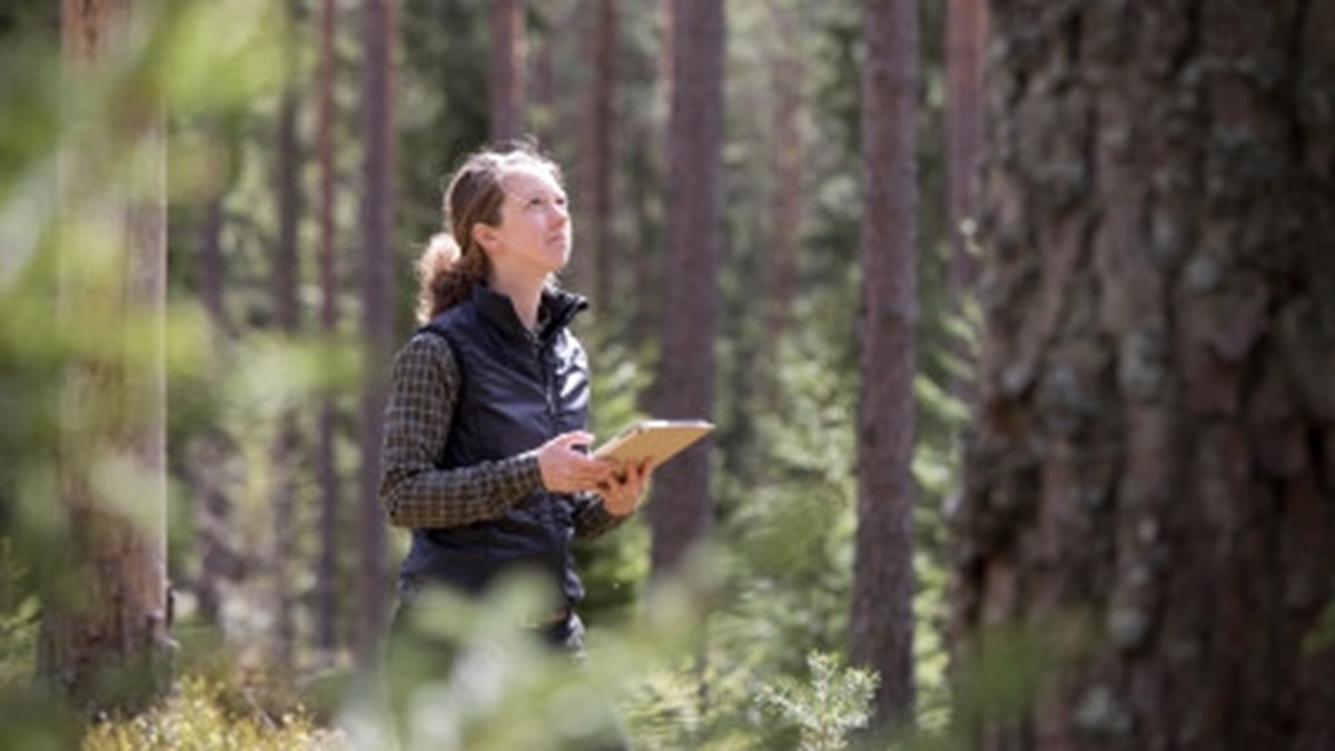 Södra appen Skogsägare visas av Lina Samuelsson