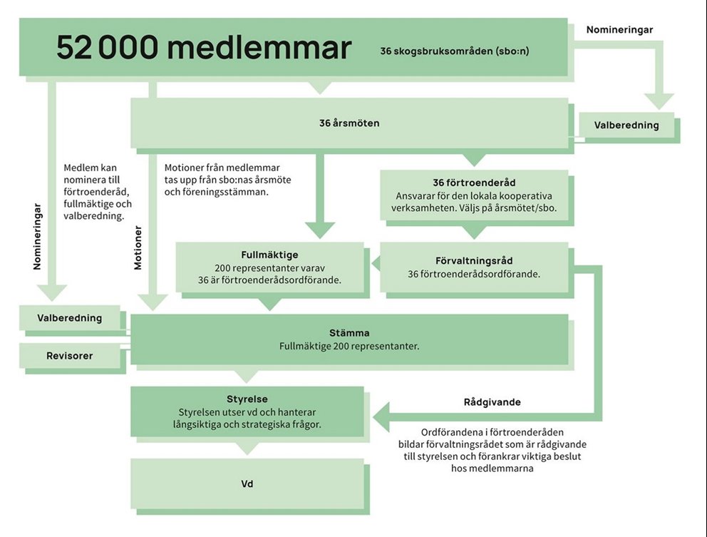 Södras styrmodell
