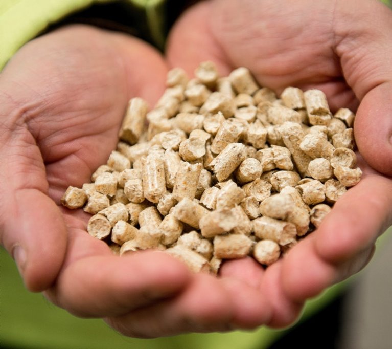 Person håller fram Pellets i sina händer