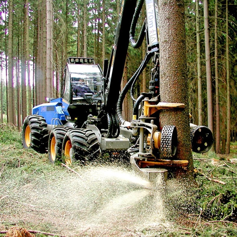 Skogsbruk. Slutavverkning. Slutavverkningsskördare. Rottne. Slutavverkningsaggregat. Timmer.