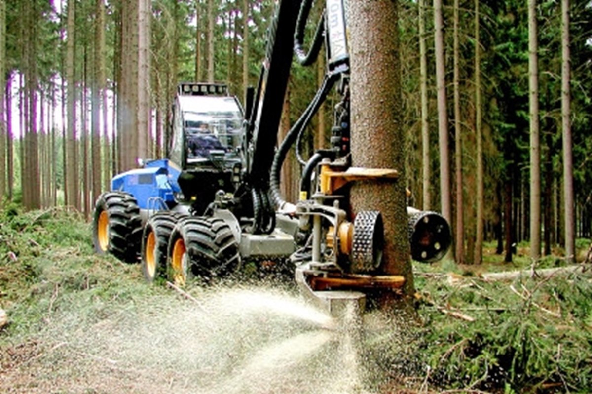 Fordon utför skördarmätning i skogen.