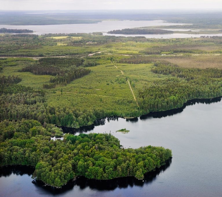 Stormen Gudrun över Toftaholm. Bilder från 2005 och 2015.