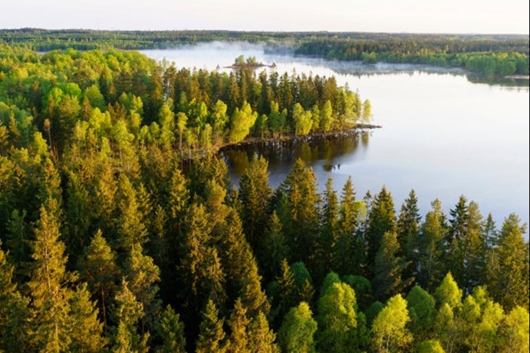 Hult, Odensjö, Kronobergs län. Ägare Conny och Roger Eliasson. Tfn0372378310
SWEREF99 TM
6299770.297, 414978.694 Skog i Odensjö i Småland