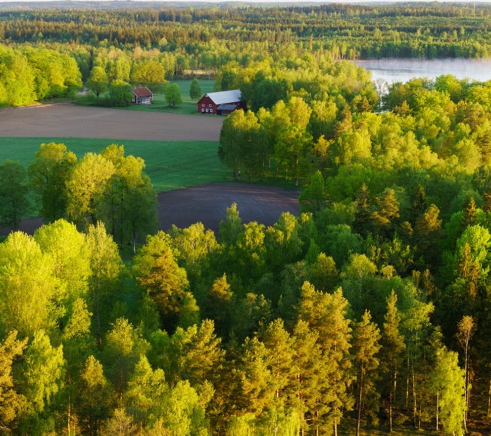 Flygbild över landskap med åker, skog och sjö i solnedgång.