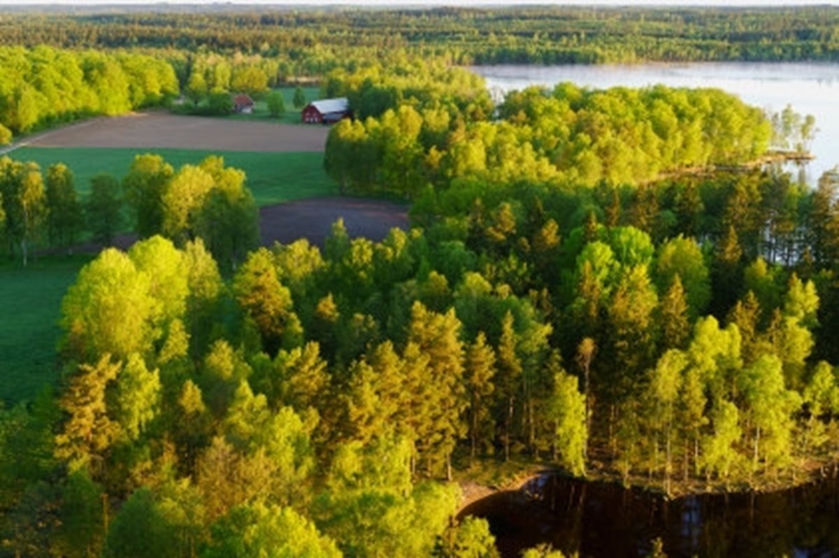 Hult, Odensjö, Kronobergs län. Ägare Conny och Roger Eliasson. Tfn0372378310
SWEREF99 TM
    6299770.297, 414978.694 Skog i Odensjö i Småland