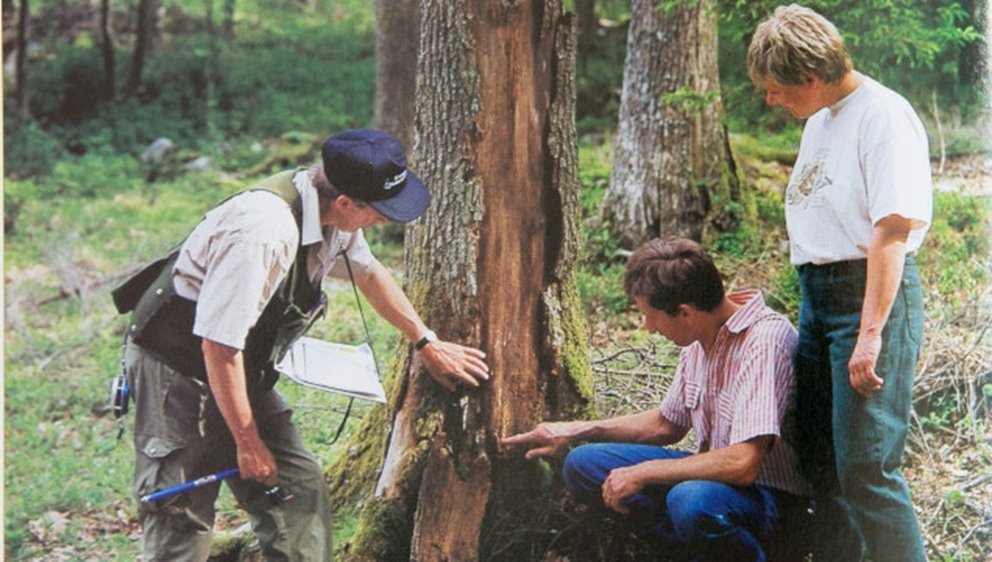 Inventering för Grön skogsbruksplan Fr vänster: inspektor Nils-Göran Nilsson , Gunnar Nicklasson och Ulla Nicklasson i Ubbhult i år 1996.