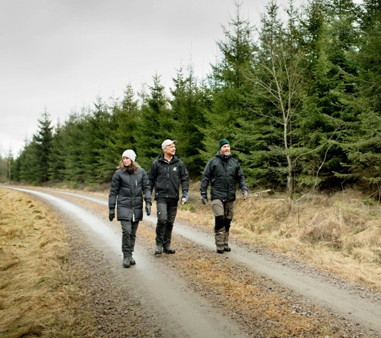 Matilda Wallemyr medlem, Peter Wallemyr medlem Hångsdala Hasslekärr och Peter Karlsson Skogsinspektor. Granbeståndet är 16 år och röjdes för två år sedan. Sedan dess har granarna vuxit 2-3 meter och beståndet har på nytt blivit tätt. Första gallringen beräknas ske om 3-4 år.
