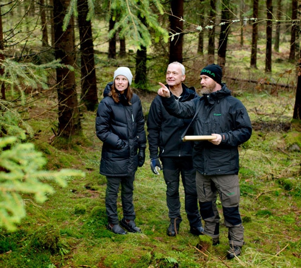 Matilda Wallemyr medlem , Peter Wallemyr medlem Hångsdala Hasslekärr och Peter Karlsson Skogsinspektor