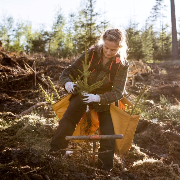 Plantering av pluggplusett