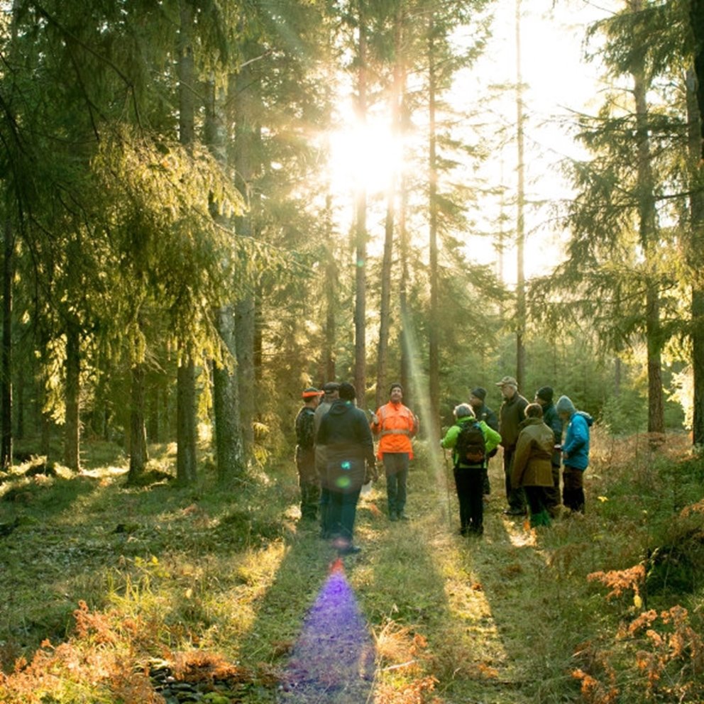 Södraskolan . Grundkurs för skogsägare i skogen utanför Vara. Kursledaren Lars Nilsson i Orangejacka