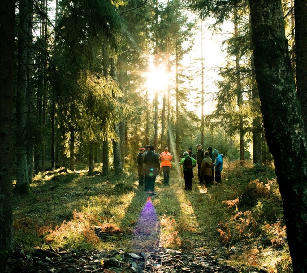 Södraskolan . Grundkurs för skogsägare i skogen utanför Vara. Kursledaren Lars Nilsson i Orangejacka