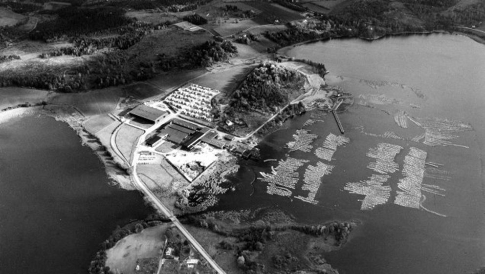 Flygbild Kindasågen

Copyright Ingvar Anehed, Ängsvaktaregatan 20, Norrköping.