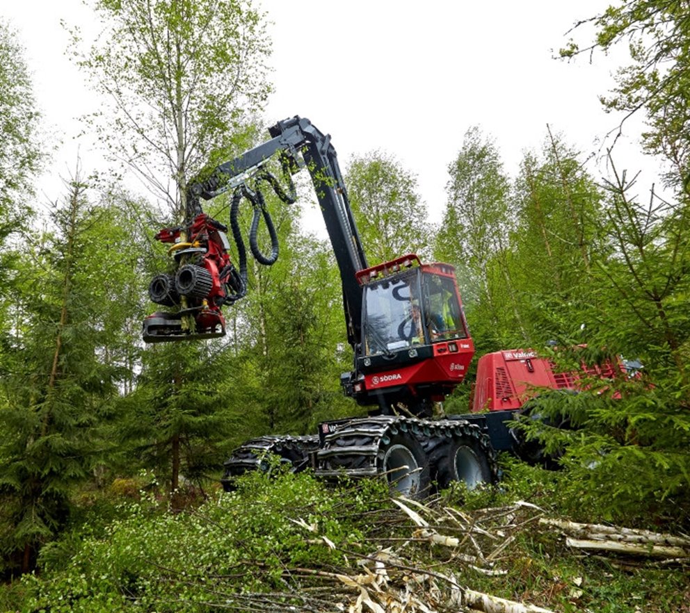 Serie140506- Björkgallring; flerträdshantering Flerträdshantering i skogen. Gallring