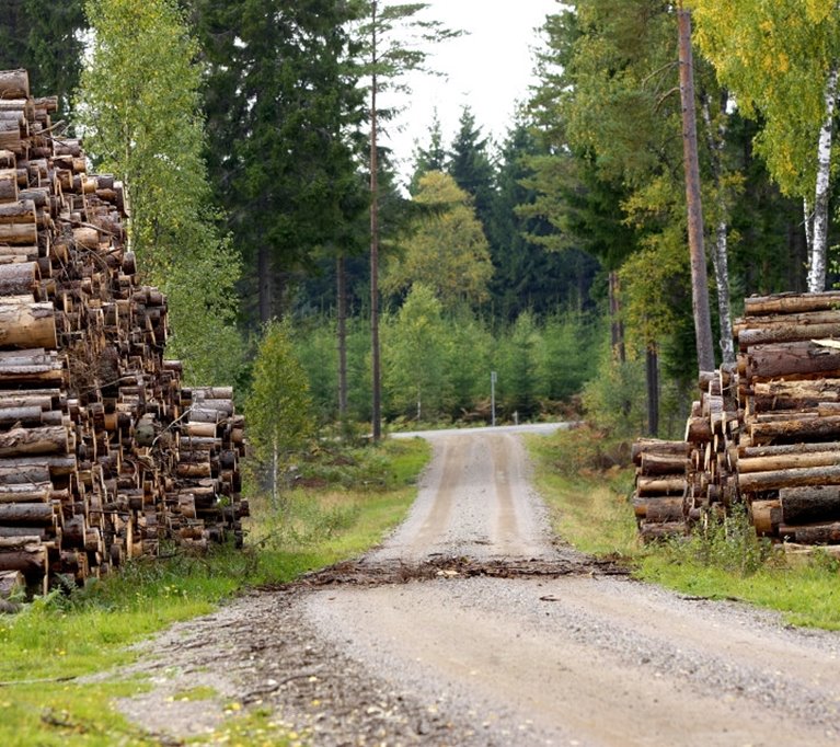 Bränsle från skogen