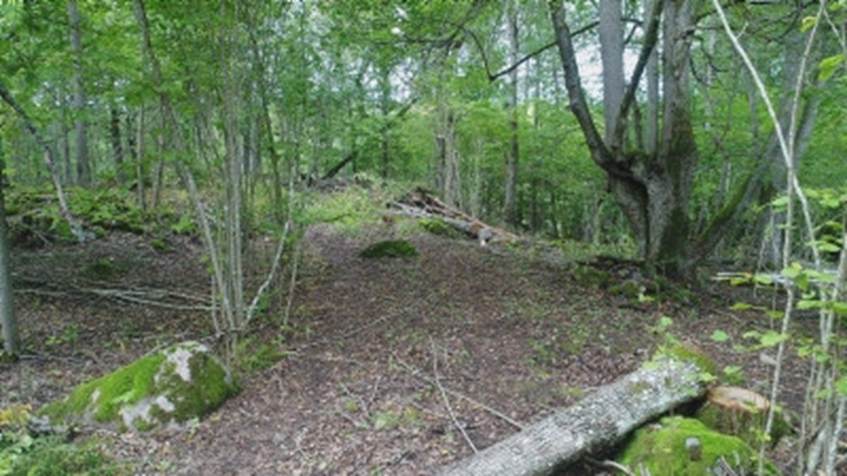 Naturvårdande skötsel