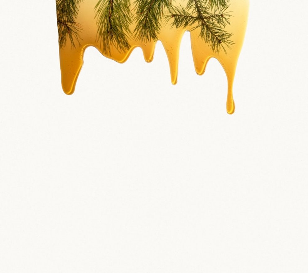 Terpentin från skogen