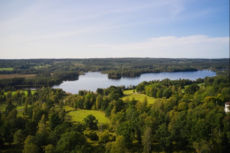 Skogsinspektor medlem 2020.