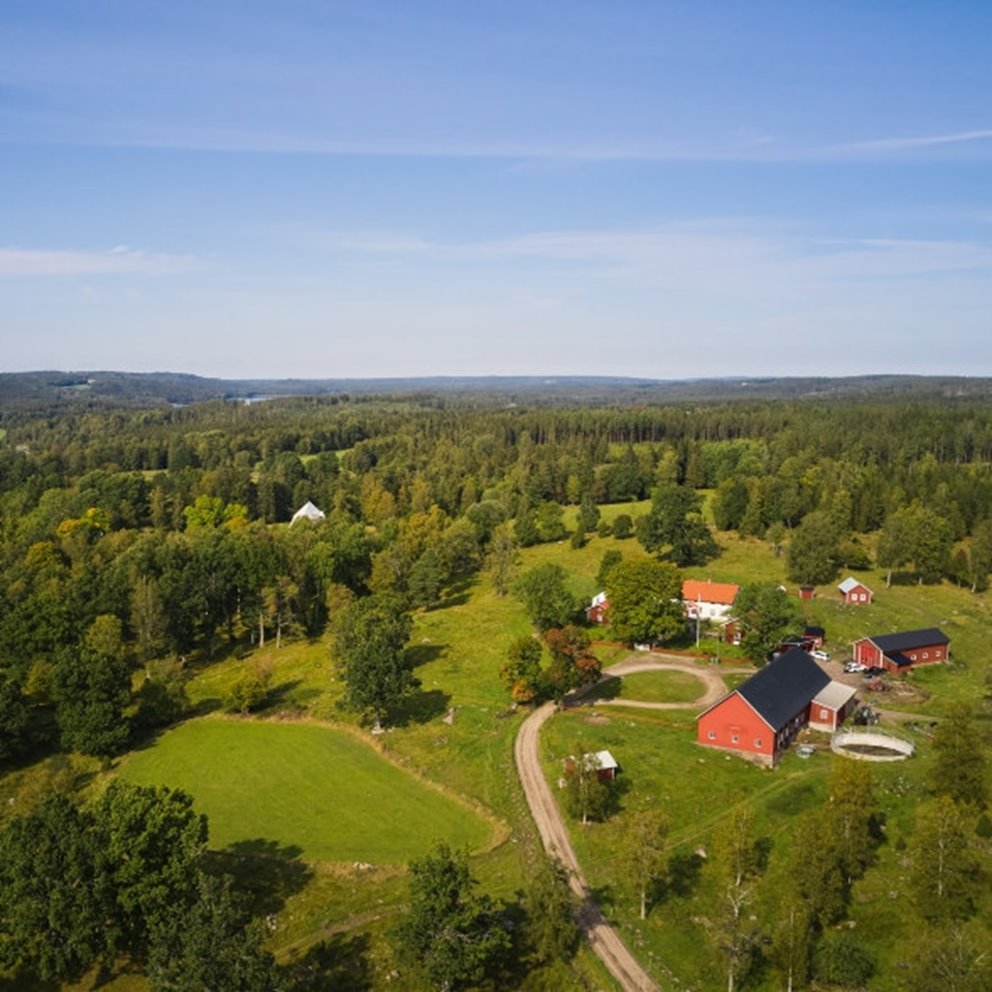 Skogsinspektor medlem 2020.
