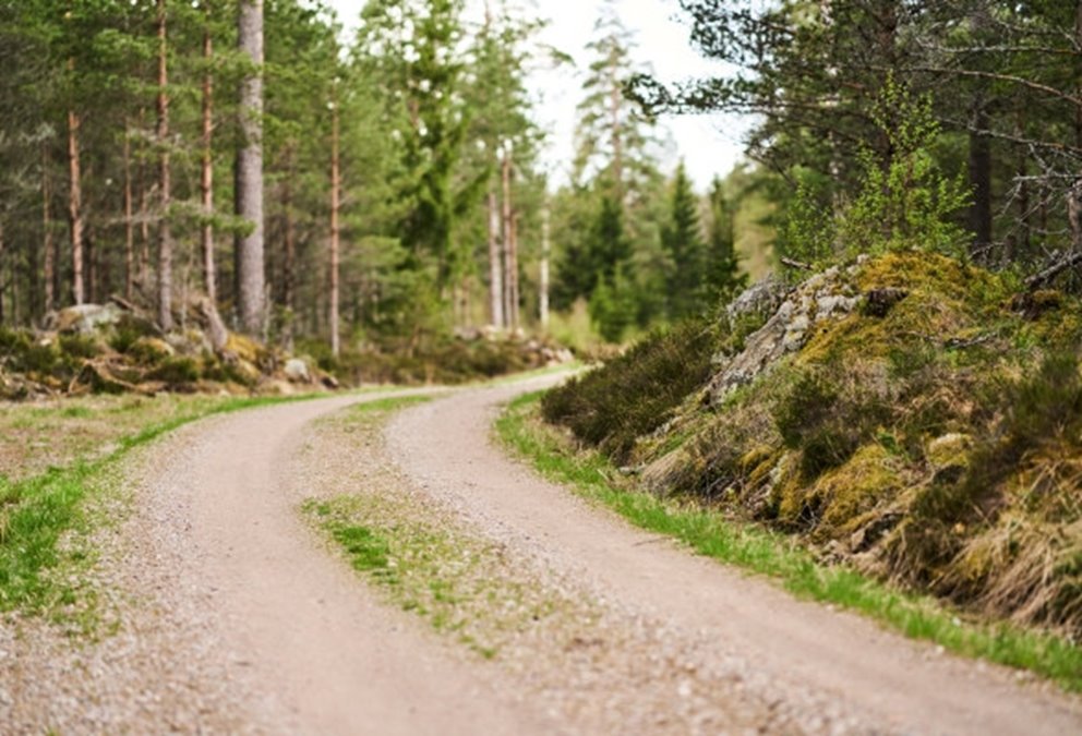 Skogsbilvägar 2021.
