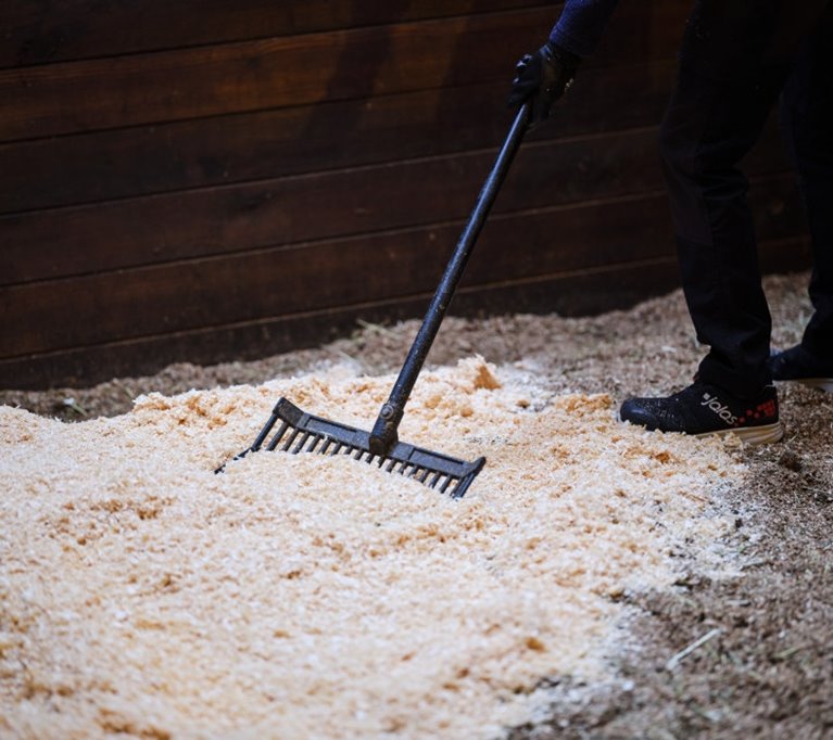 Stallströ som sprids i hästbox