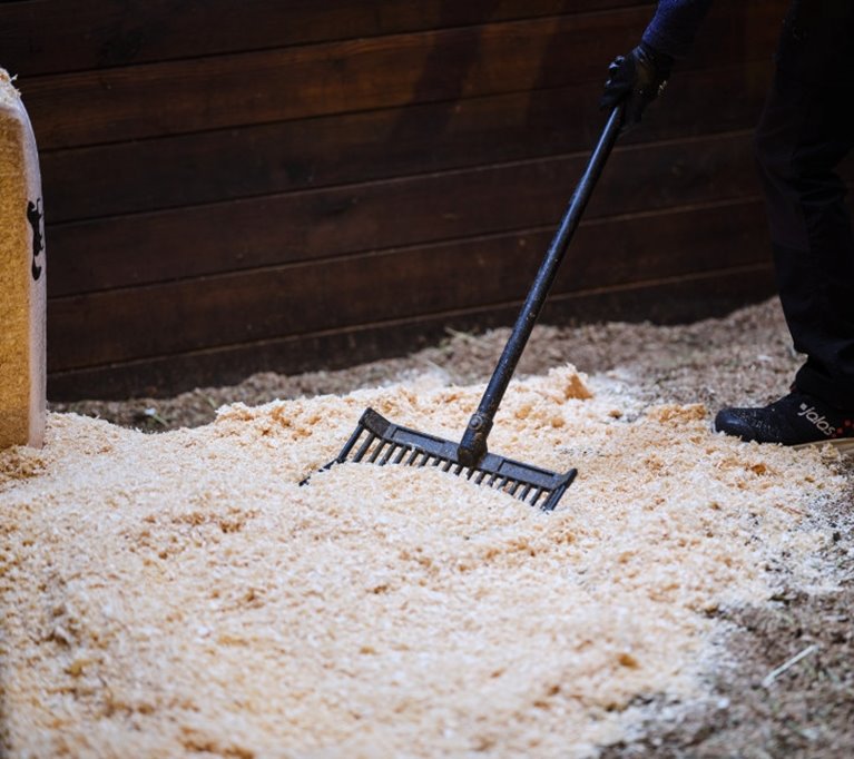 Stallströ sprids i hästbox