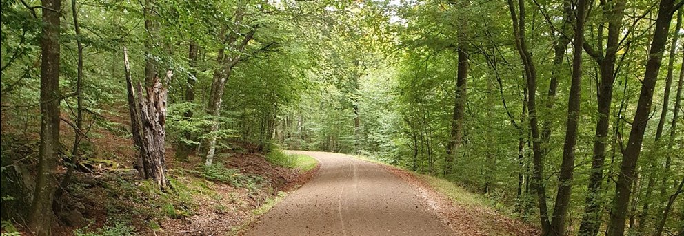 Vägunderhåll
Södras skogsbilvägstjänster