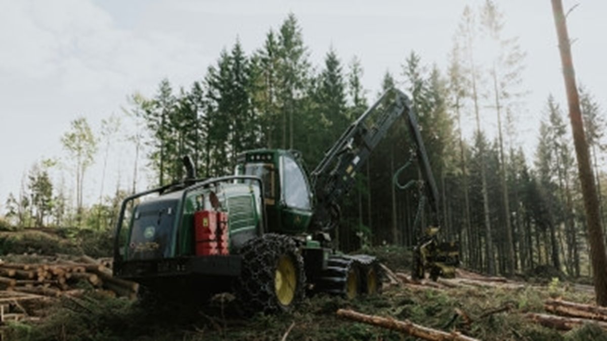 Bilder från ett besök av Filippa K