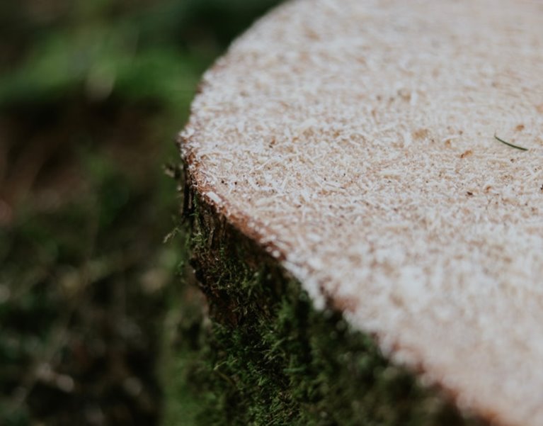 Bilder från ett besök av Filippa K