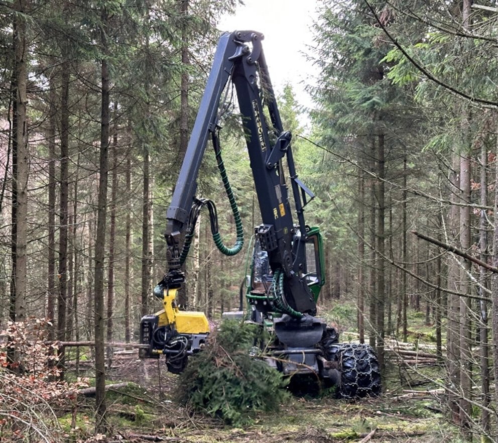 Gallringsmaskin in action.