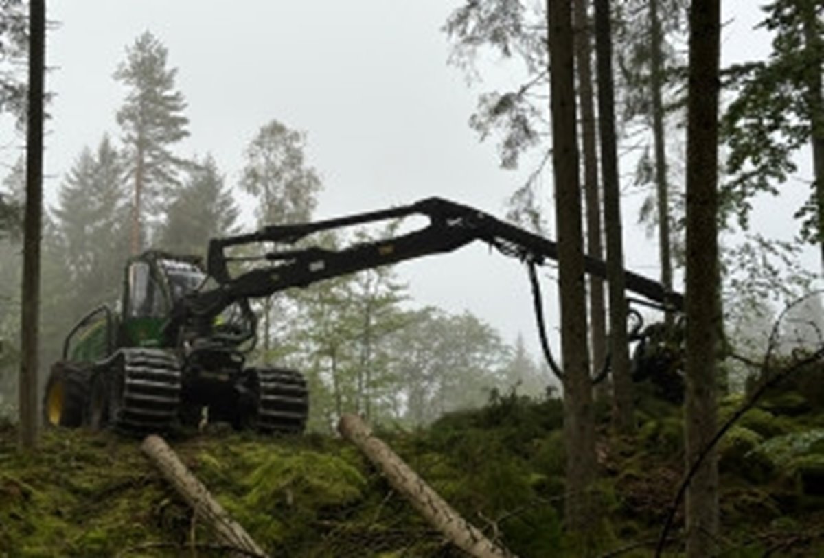 Skördare föryngringsavverkar.