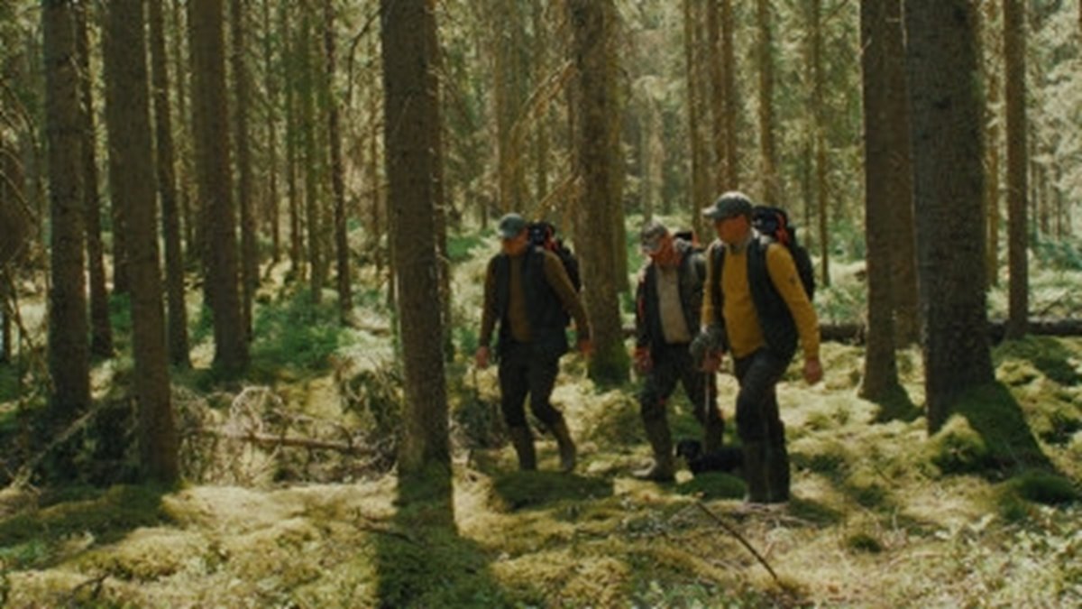 Bilder från filmen om Familjeskogsbruken Peter Melin, Jacob Melin, Gustav Melin