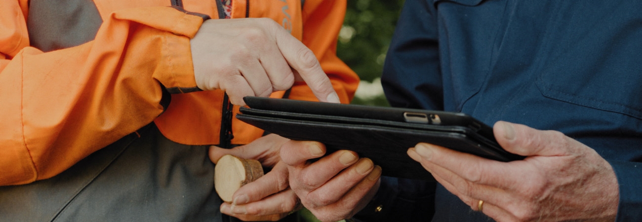 Bilder från filmen om Familjeskogsbruken