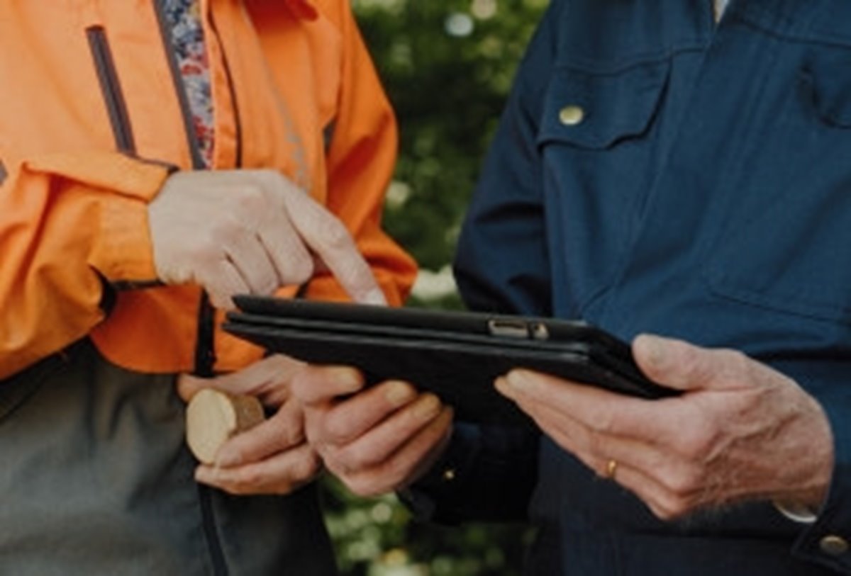 Bilder från filmen om Familjeskogsbruken