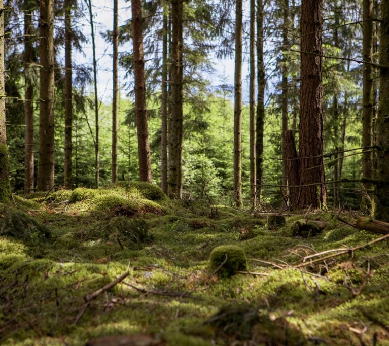 Bilder tagna på två platser i Halland.