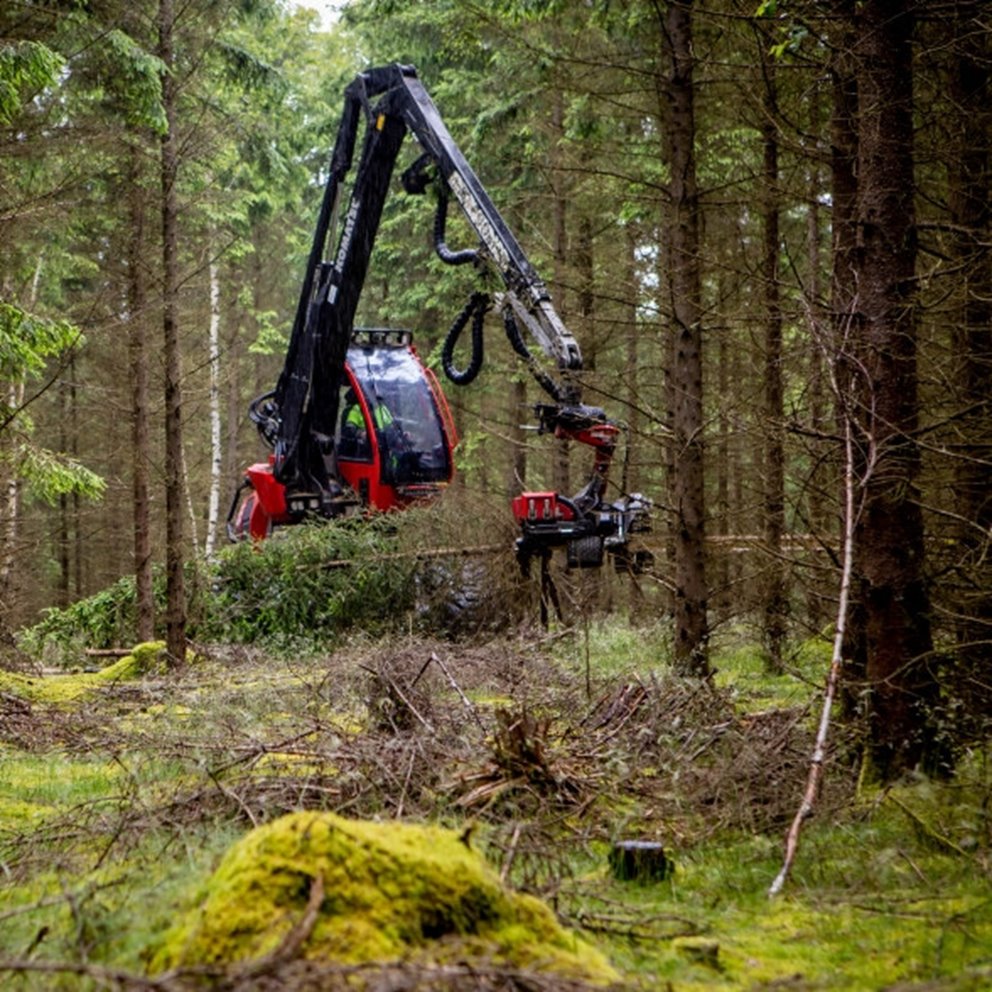 Gallringsskördare i granskog.