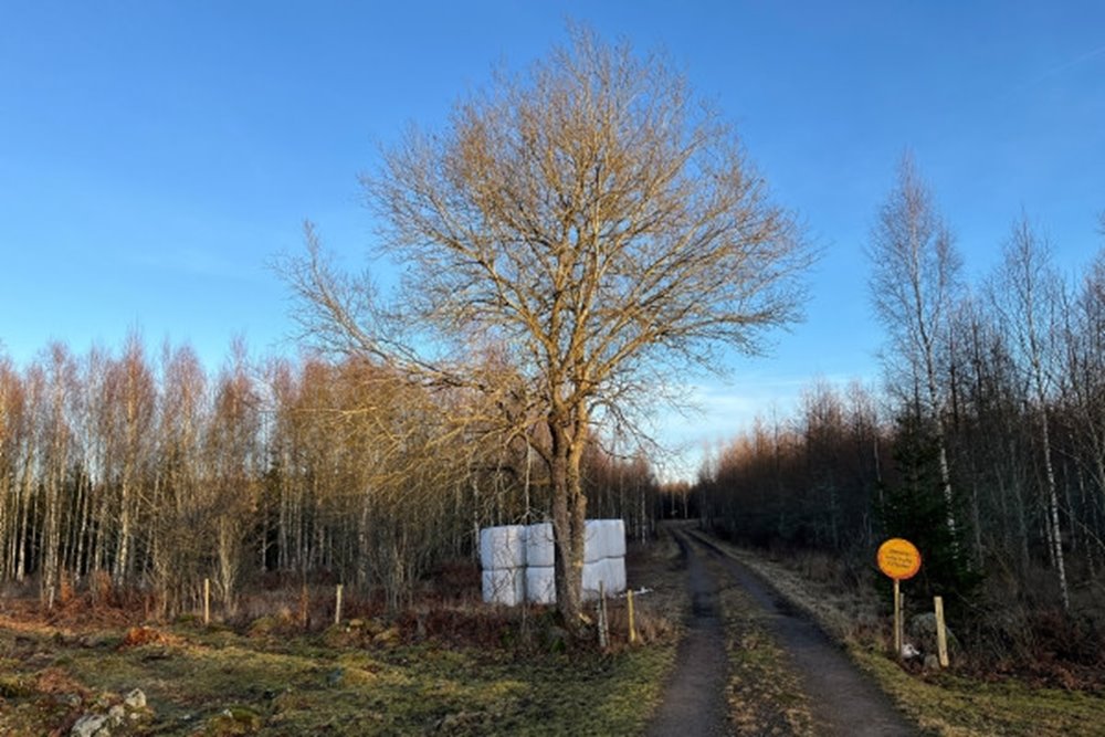Infart Toftaholm 2025