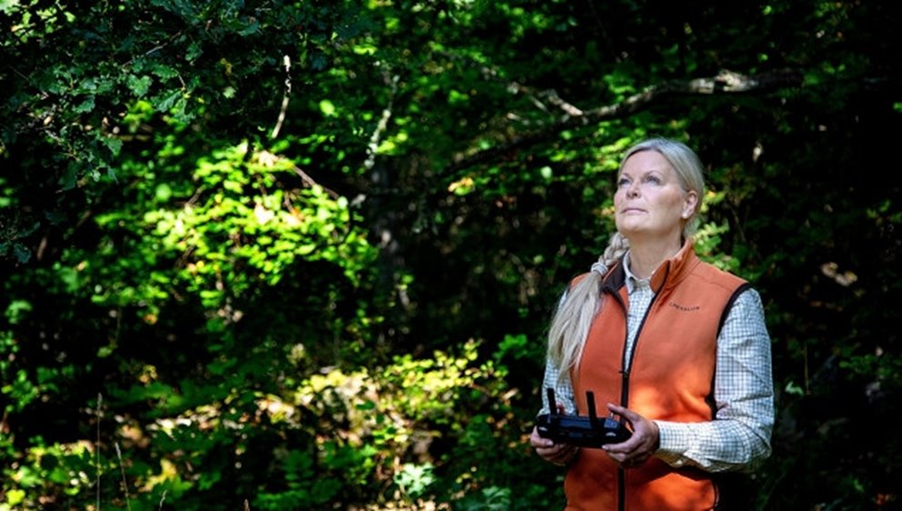 Annette Eilert, doktorand vid institutionen för skog och träteknik vid Linnéuniversitetet, LnU, är en av tre doktorander som är knutna till FRAS – Framtidens skogsskötsel i södra Sverige. Annette kartlägger skogens hälsa med digital teknik. Experimenten med tallplantor i laboratorium visar att med digital teknik kan stress upptäckas tidigare än med det mänskliga ökat. Med hjälp av kameror på drönare ska Annette leta efter tidiga signaler på stress i den växande skogen.