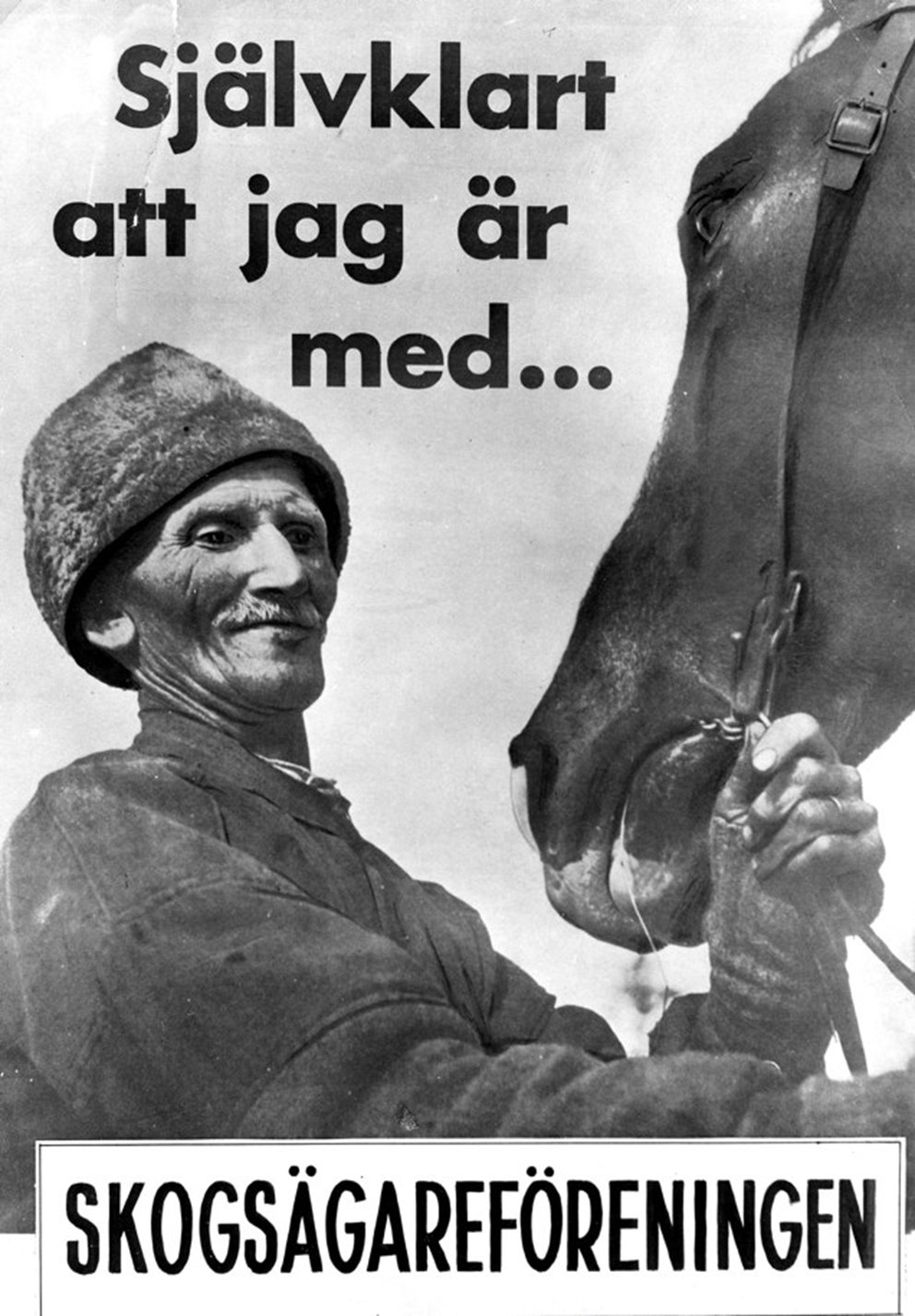 Medlem