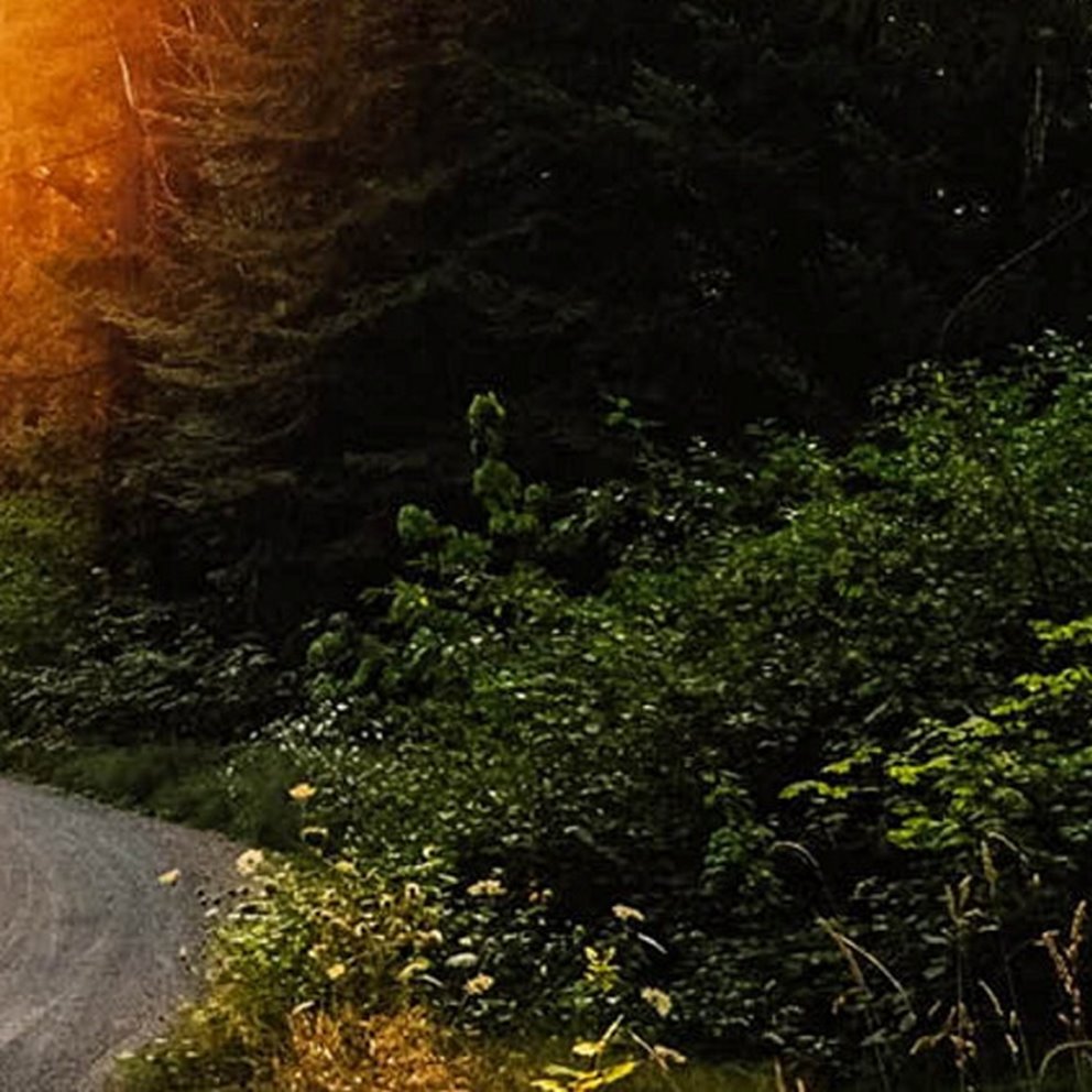 Kampanjbild Conscious delivery