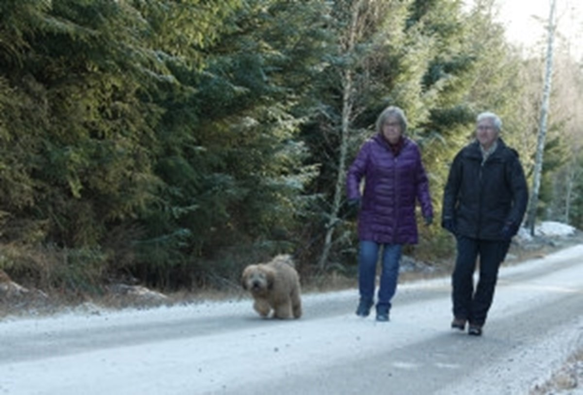 Arne och Marianne Lundin 20 år efter stormen Gudrun