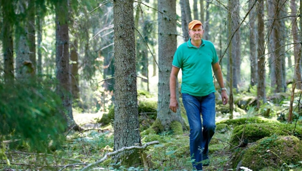 Södrahistorien - Christer Segerstéen