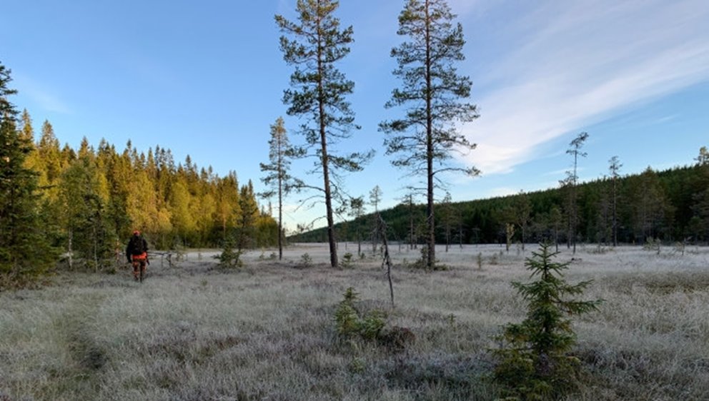 Hösten skördetid