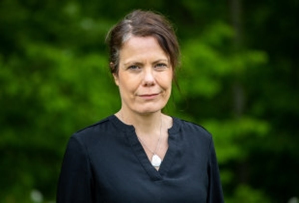 bokskog; lövskog; sommar; död ved; naturvård; hänsyn