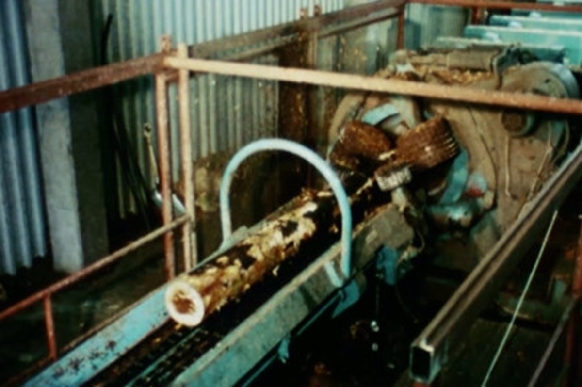 Kindaverket 1969 Barkningen vid Kindaverket 1969.