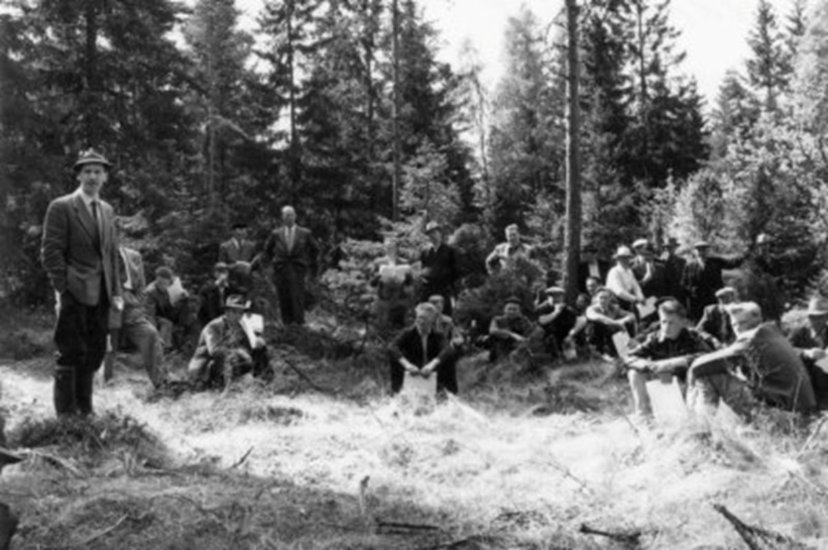 Skogsdag i Linneryds skogsbruksområde. Södras första skogsbruksområde (1950). Tv. OC (inspektor) Carl Fornling. Datum: 31.5.58