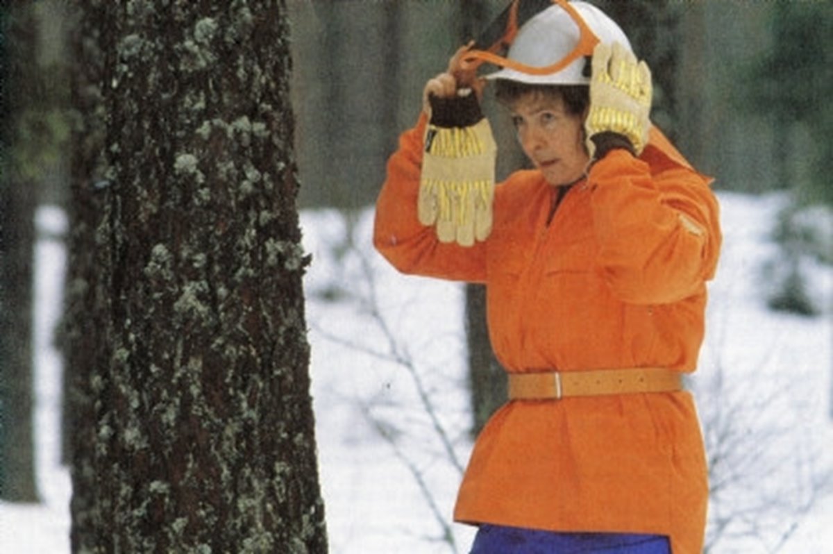 Anna-Lisa Wilhelmsson på omslaget av Södra kontakt nr 1 86, beskuren bild (se 080).