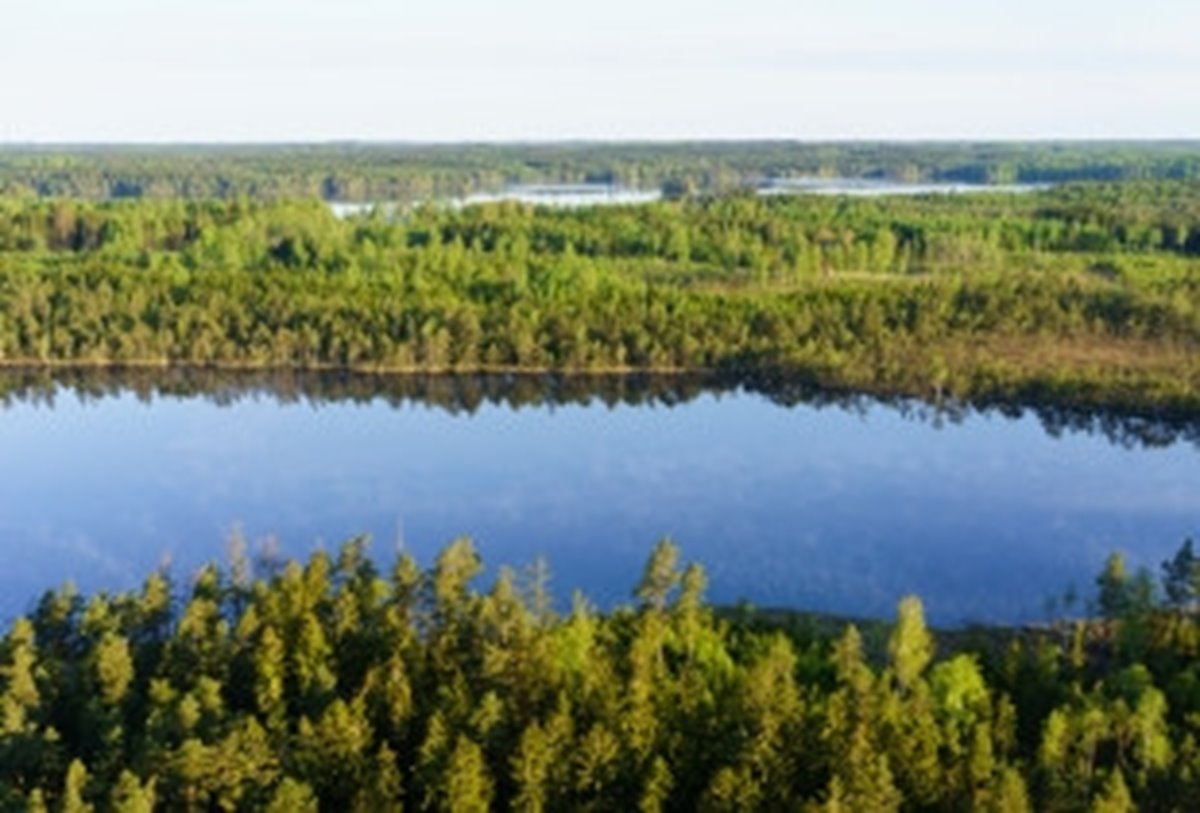 Hult, Odensjö, Kronobergs län. Ägare Conny och Roger Eliasson. Tfn0372378310
SWEREF99 TM
    6299770.297, 414978.694 Skog i Odensjö i Småland