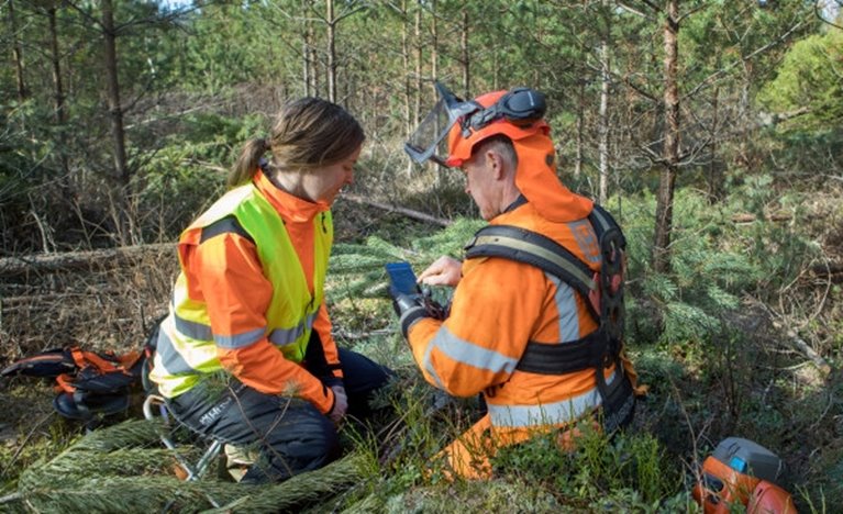 Röjning av skog av Södra-medlemmen Karl-Eric Johansson och dottern Ellen Johansson.