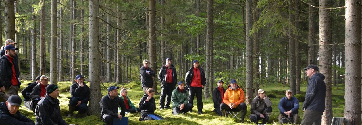 Naturvård Södra, Vallesta, genomgång av kulturmiljöer med arkeolog Mikael Dahlin
