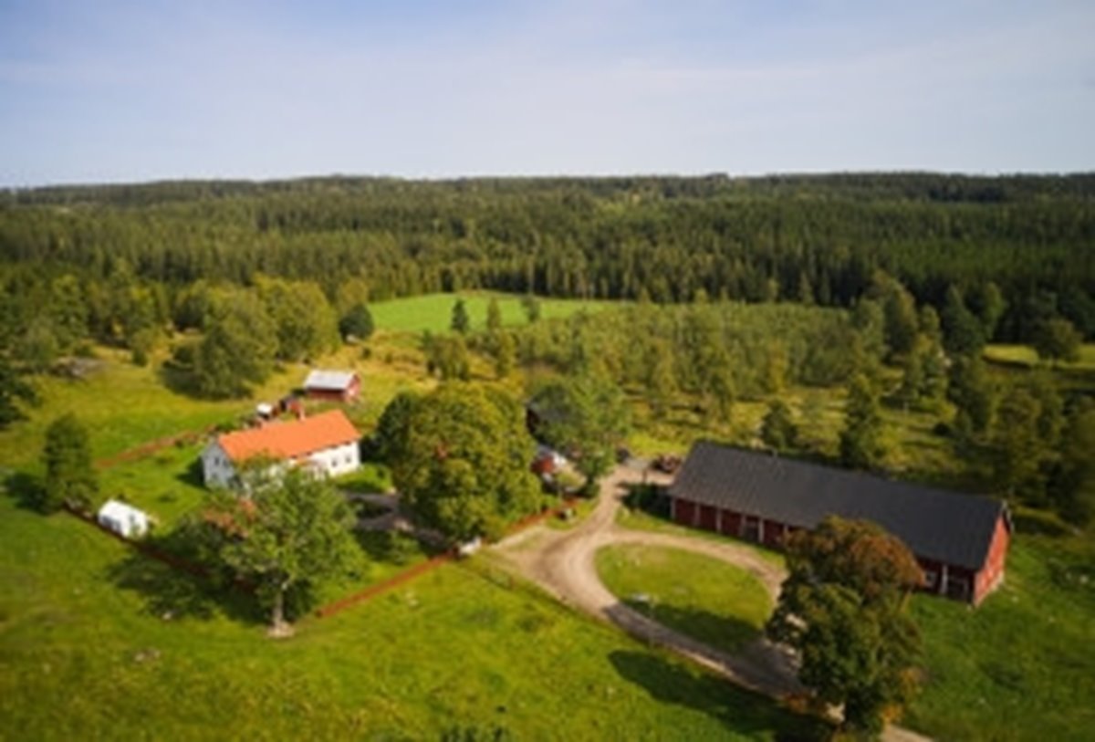 Skogsinspektor medlem 2020.